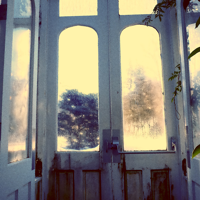 Green House Door