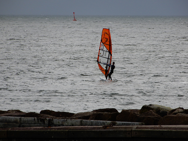 au bonheur des surfeurs