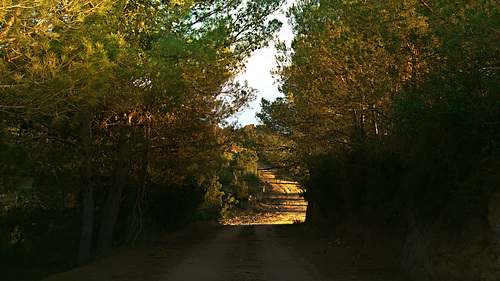1- DSC5152