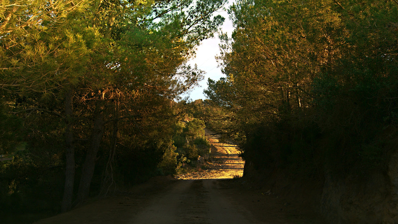 1- DSC5152