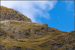 Serpentine in 2300m Höhe