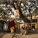 Haridwar, India