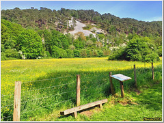 Un banc plutôt bancal - HBM