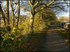 towpath in November
