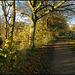 towpath in November