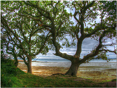 Chichester Harbour, Sussex