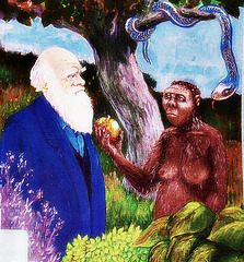 DARWIN'S APPLE