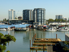 View Over the Fraser River