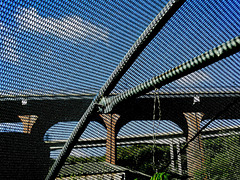 Bridges and Lines from the Poly Tunnel