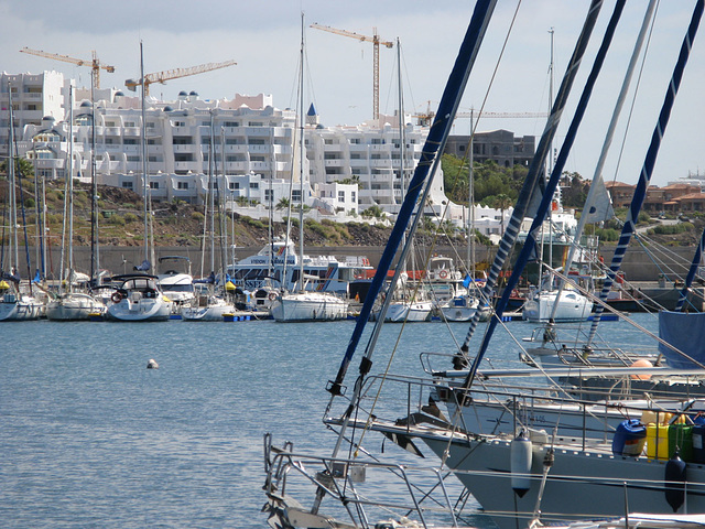 Tenerife 2010 20