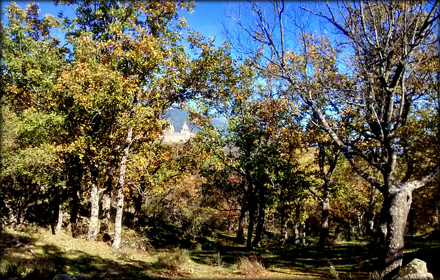 El Escorial through the autumn leaves. H. A. N. W. E. everbody!