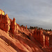 Bryce Canyon Morning