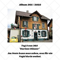 Album 365 /2022 -Tag 5.