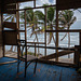 Inside Looking Out - Barbados