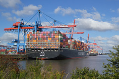 YM WINNER Hongkong (PiP) YM WINNER Hongkong (PiP)