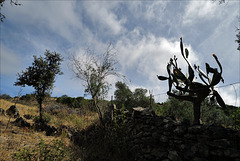 Penedos, HFF is now closed, see you next Friday !