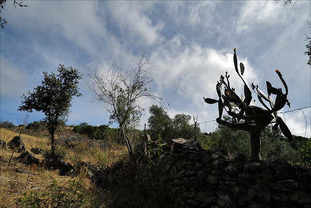 Penedos, HFF is now closed, see you next Friday !