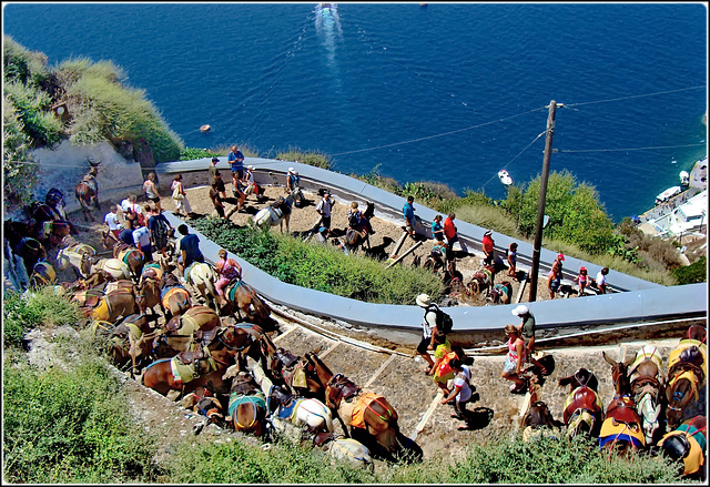 Santorini : La mulattiera che porta  da Ormos di  Θήρα a Thira e viceversa - in alternativa è disponibile una moderna cabinovia senza 'il profumo' dei muli