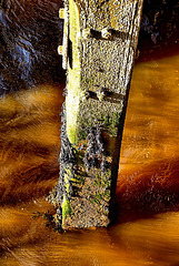 Wood And Water 3