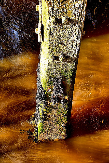 Wood And Water 3