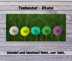 Teebeutel - Zitate - 5.