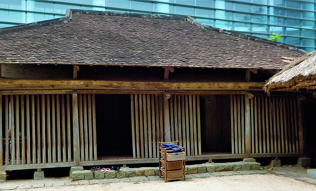 Vietnam 2016 / Hanoi   Museum of Ethnology  1xPiP