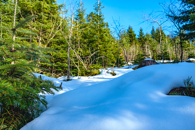 First Snow