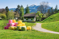 H.F.F. - with colourful bales and traditional fences