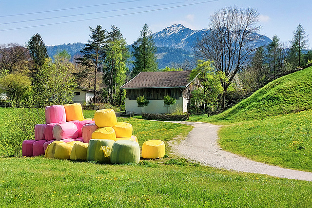 H.F.F. - with colourful bales and traditional fences