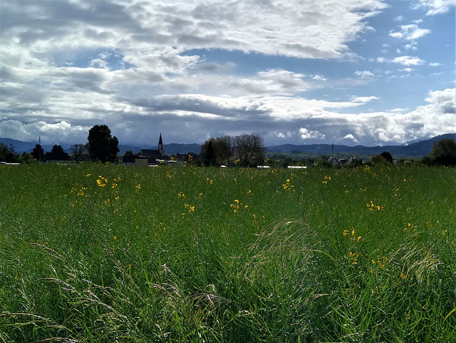 Blick auf Bohlsbach am Morgen