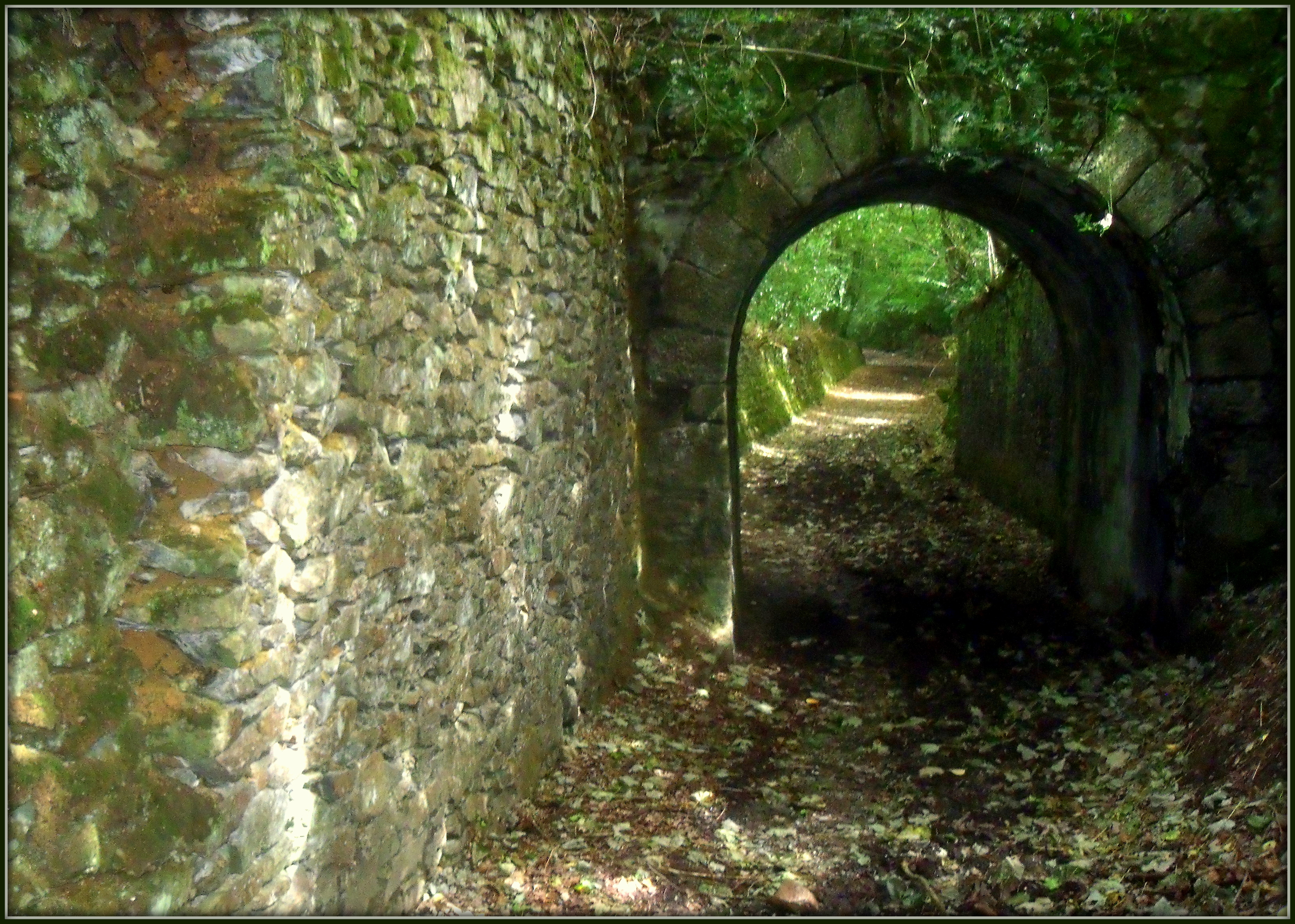 Disused lane under disused railway line, Tregullow, Scorrier, Cornwall