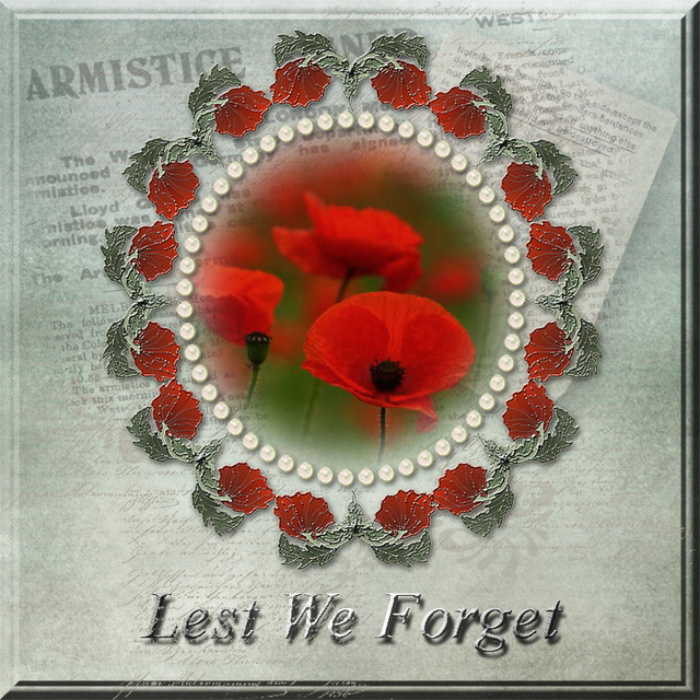 Lest We Forget~FREEDOM IS NOT FREE ~  LA LIBERTÉ N'EST PAS GRATUITE ~ FREIHEIT IST NICHT FREI