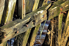 Wood And Water 1
