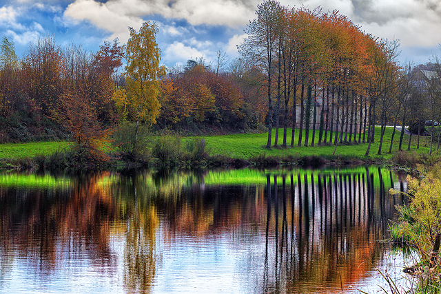 Rêveries d'automne.