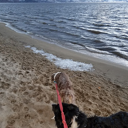 20191211 163055 20191211 163055