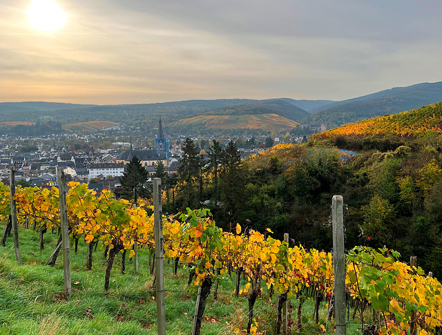 Herbstfarben über Ahrweiler