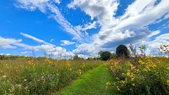 August in Michigan.