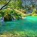 Laghi di Plitvice