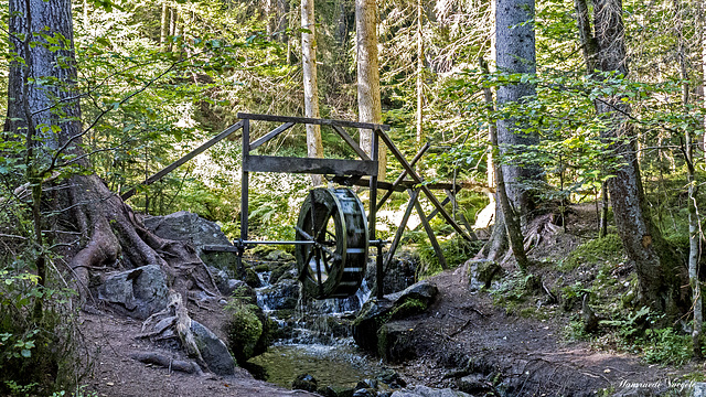 Auf dem Zauberwald-Pfad in Bernau im Schwarzwald