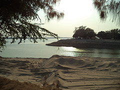 Dunes miniatures.....(Laos)