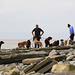 Lavernock Beach