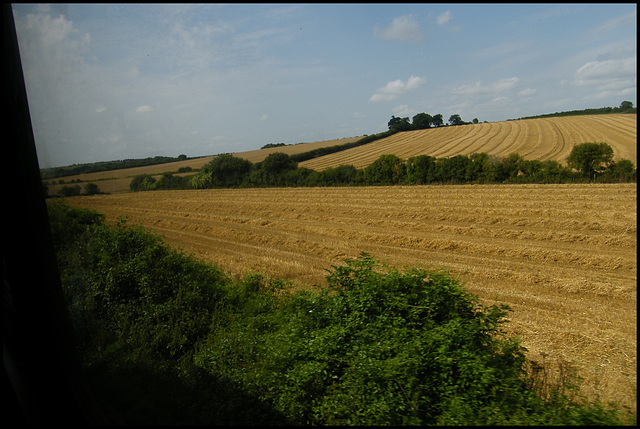 summer hay fields