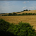 summer hay fields