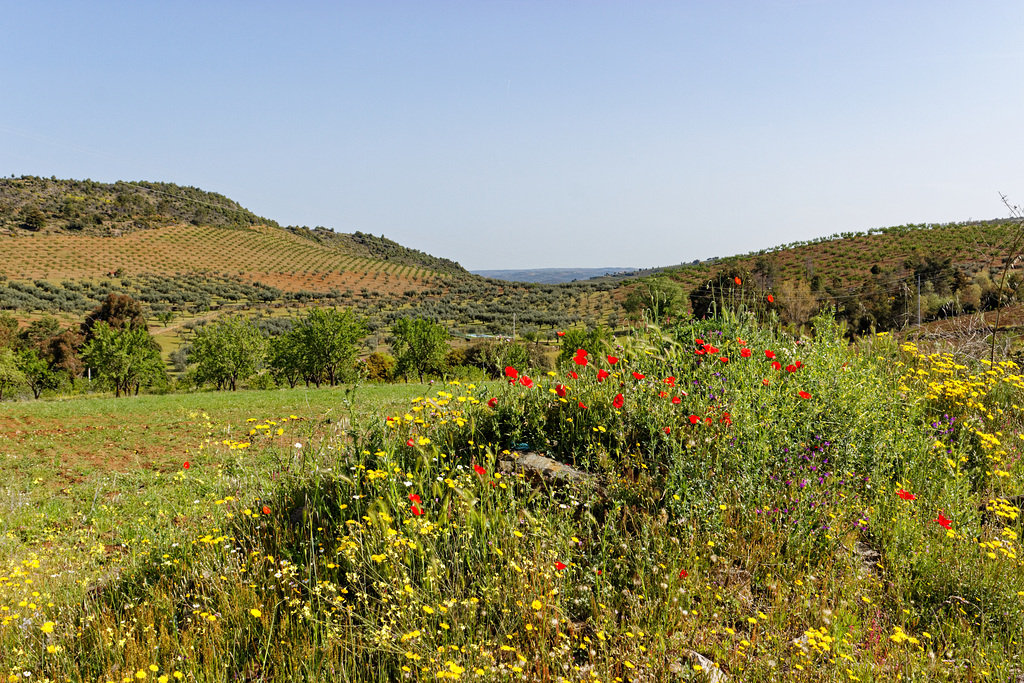 Viduedo, Mogadouro, Portugal