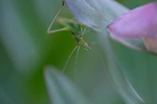 DSCF0760