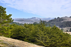 The Santa Cruz Mountains – San Gregorio Beach State Park, San Mateo County, California