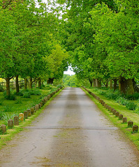 Bishops Wood, Staffordshire