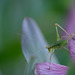 DSCF0752