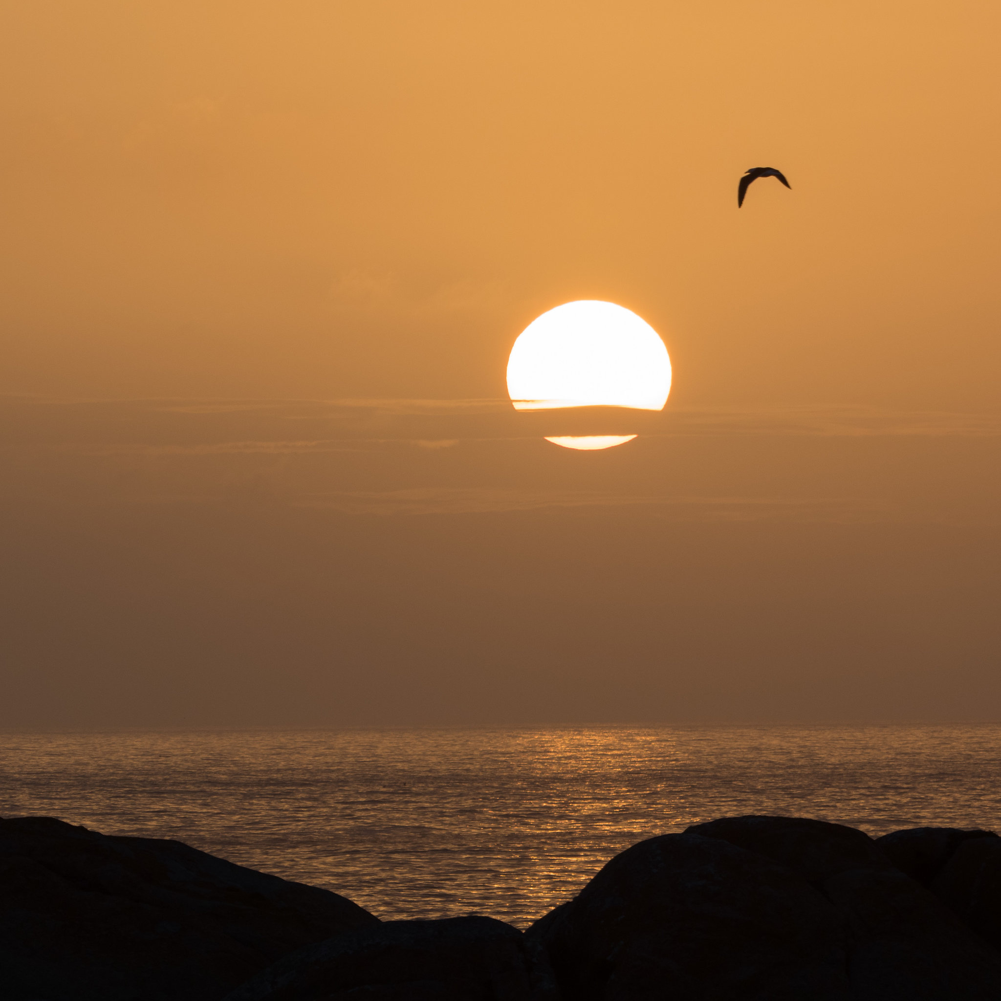 Sonnenuntergang in Paternoster 2019