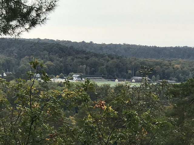 Sortie en forêt de Fontainebleau